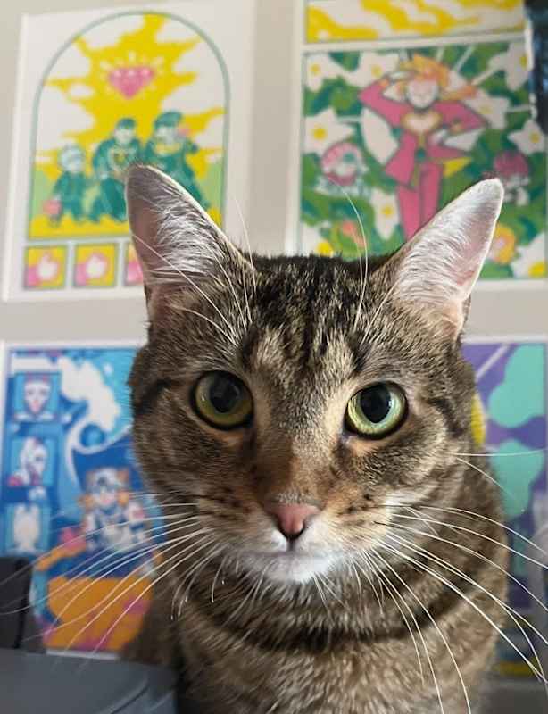 Photo of Maxine #image