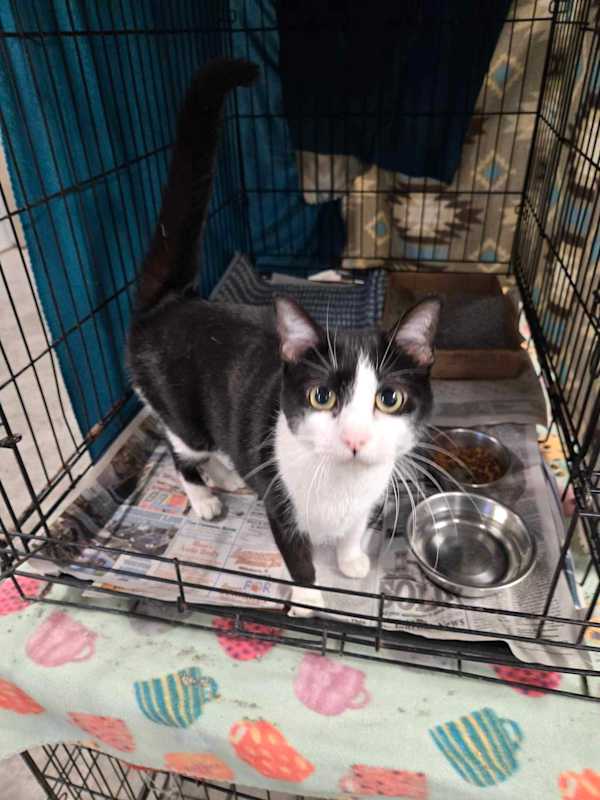 Photo of Lucky #image