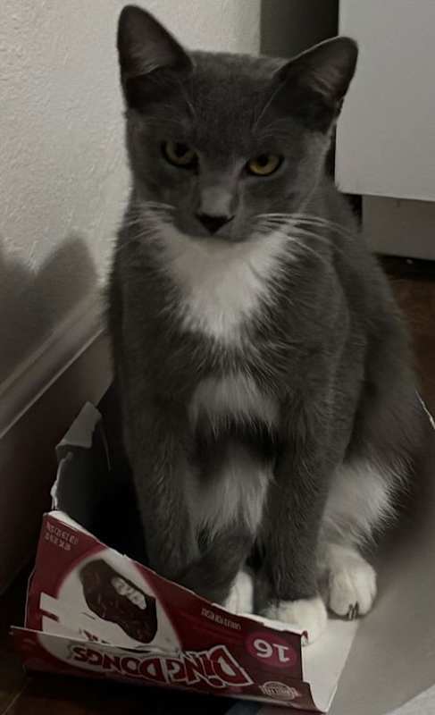 Photo of Mighty Courage #image