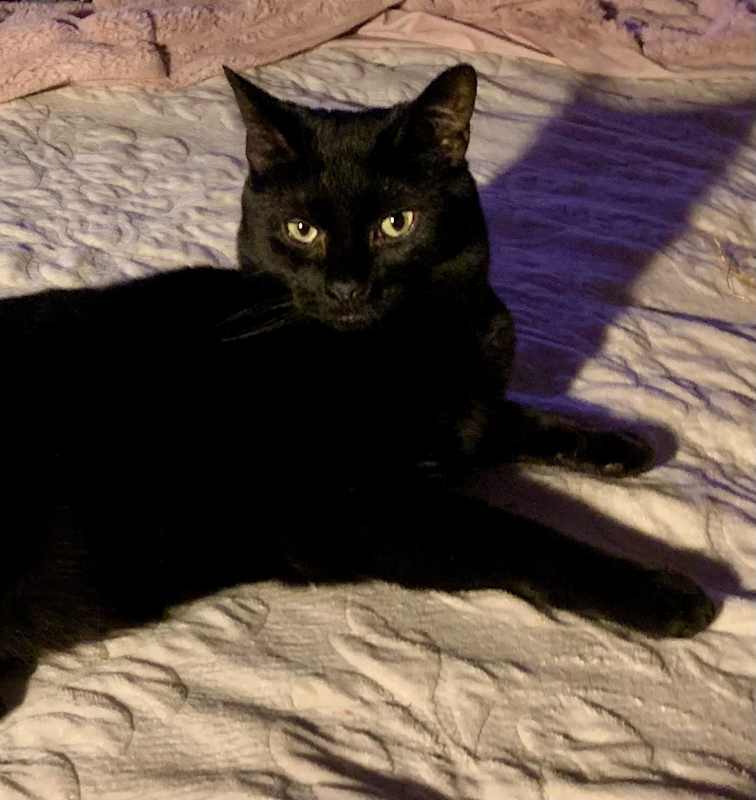 Photo of Ray #image