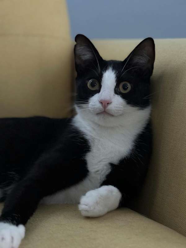 Photo of Buddy #image
