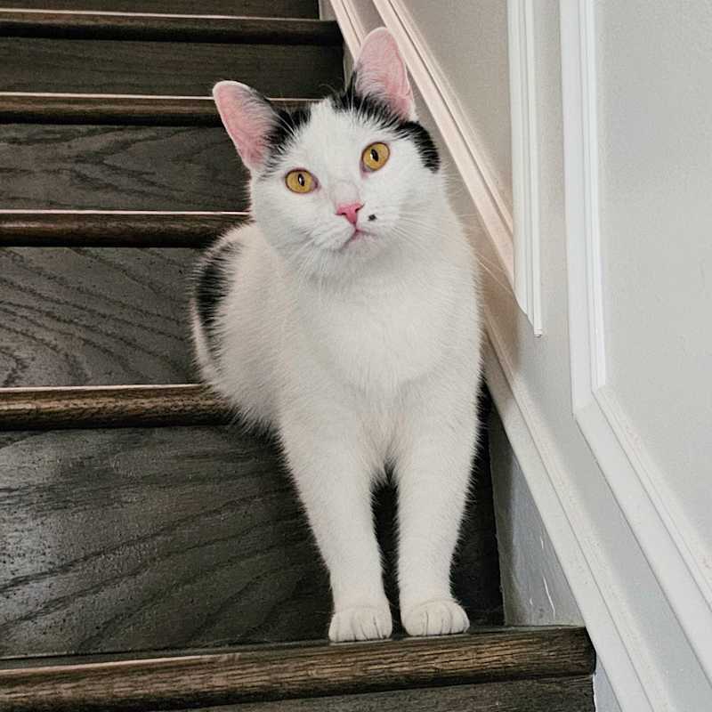 Photo of Morgan #image