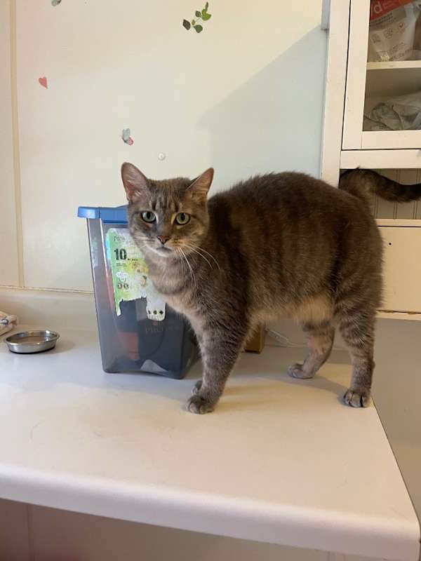 Photo of Mystic #image