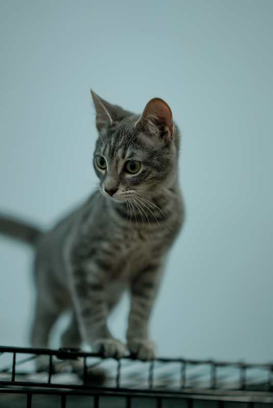 Photo of Chloe #image