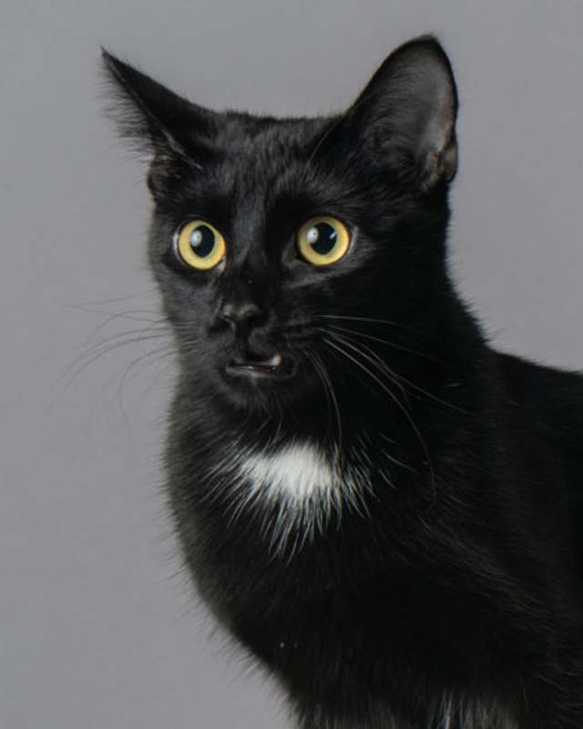 Photo of Giselle #image