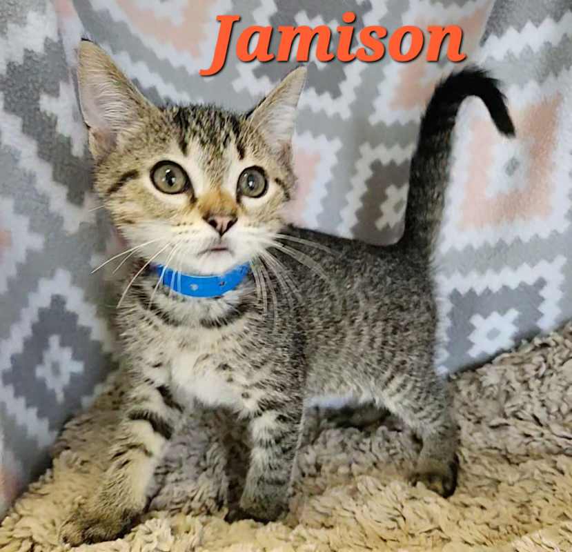 Photo of Jamison #image