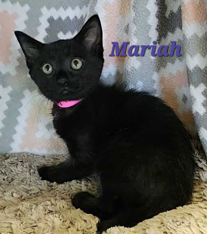 Photo of Mariah #image