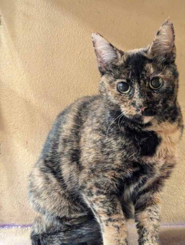 Photo of Marmie #image