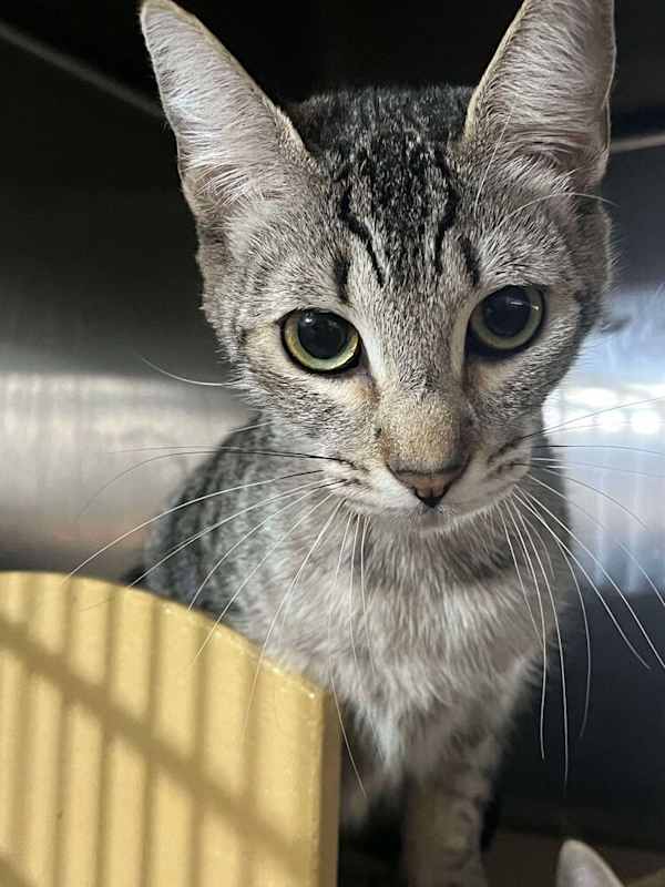 Photo of Donna #image