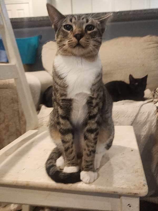 Photo of Kiki #image