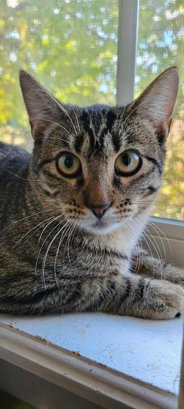 Photo of Jenny #image