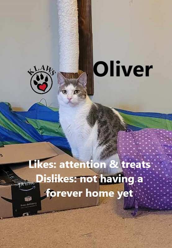 Photo of Oliver #image