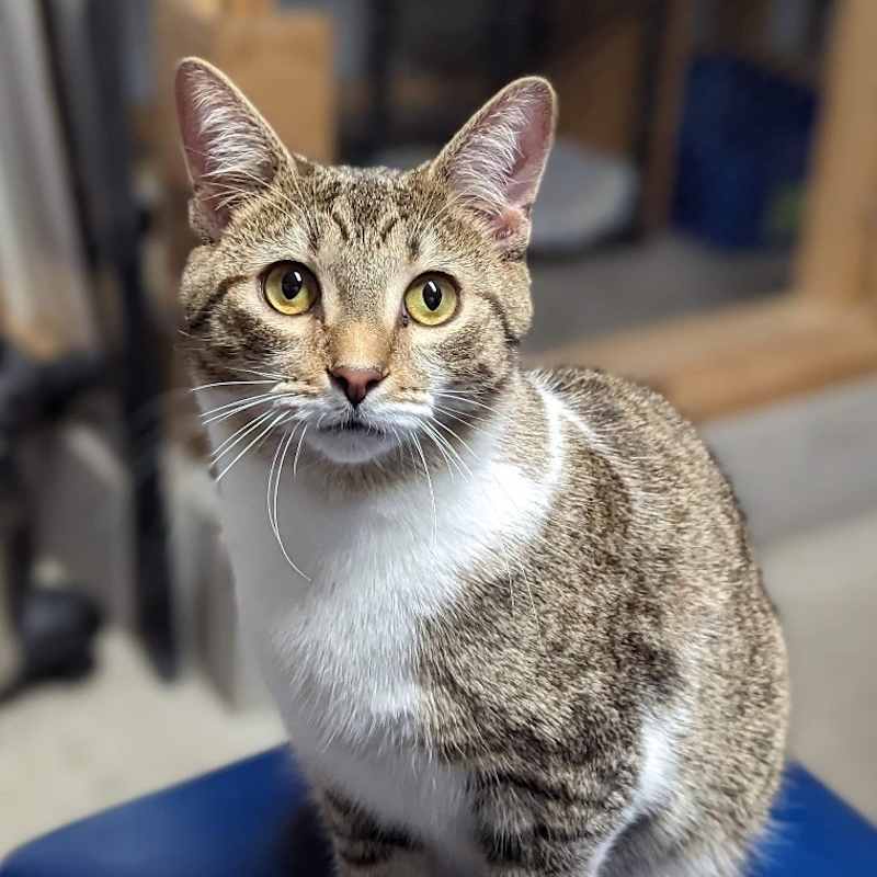 Photo of Felix #image