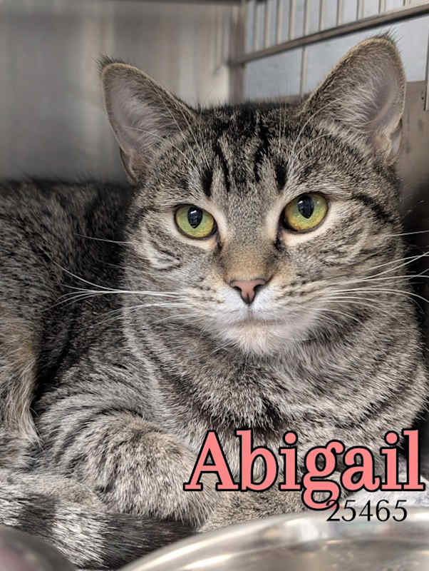 Photo of Abigail #image