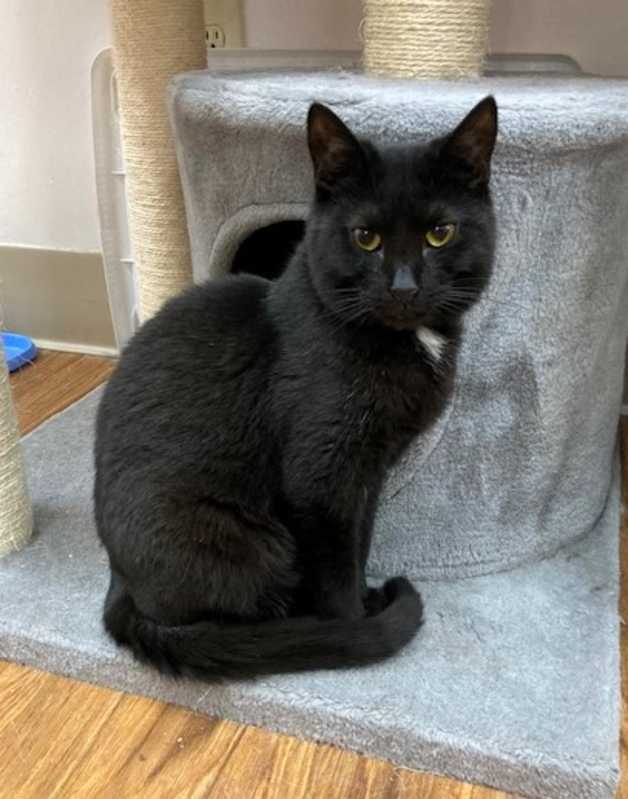 Photo of Larry #image