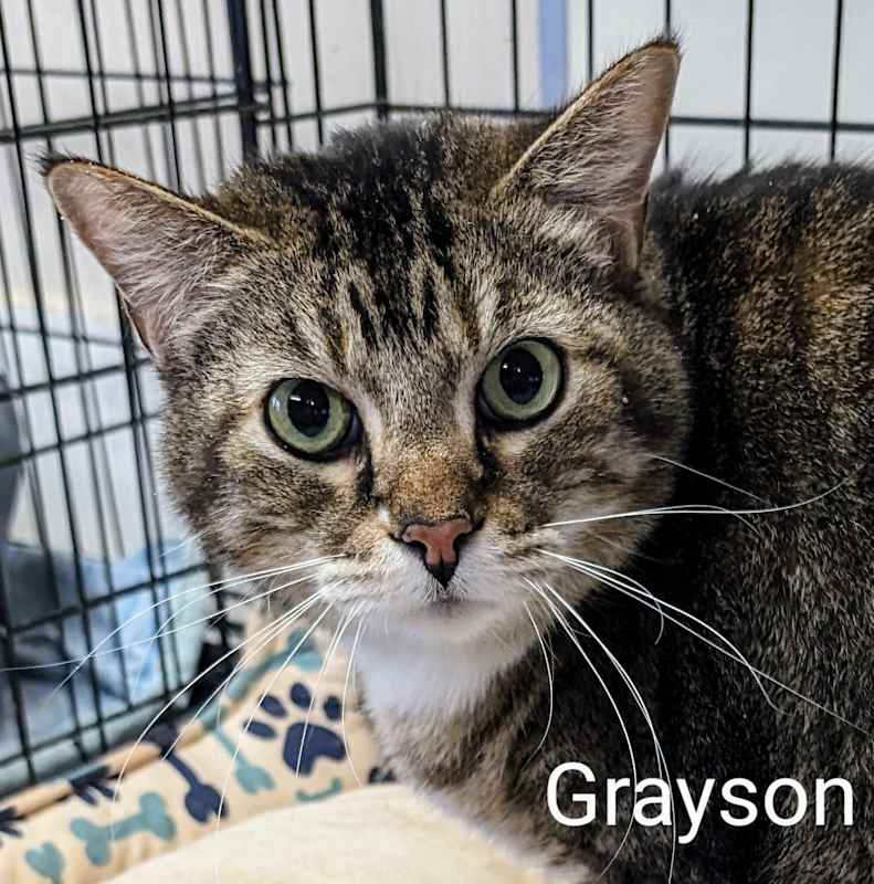 Photo of Grayson #image