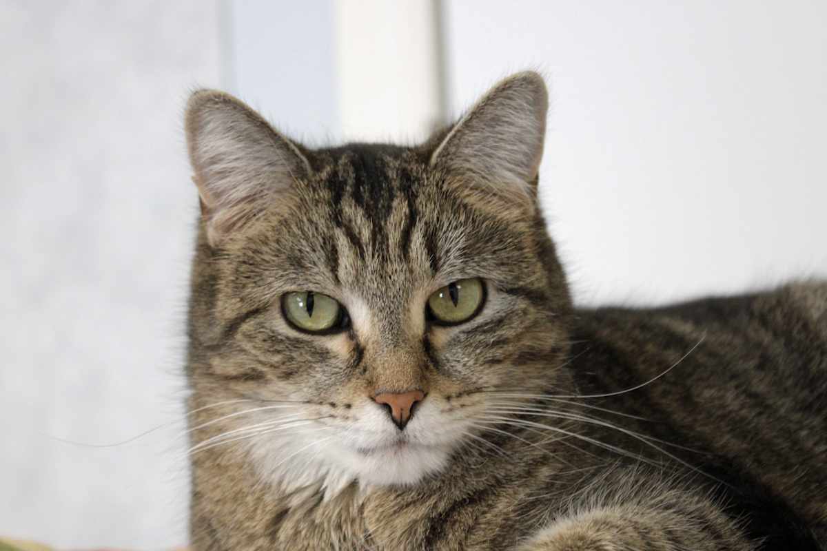 Photo of Chaz #image
