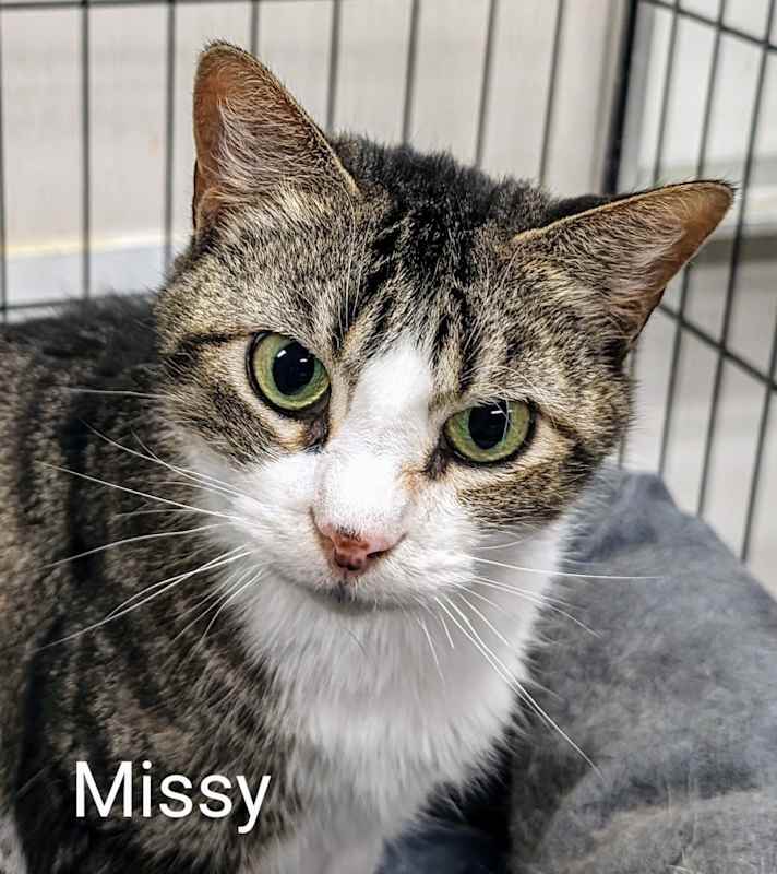Photo of Missy #image
