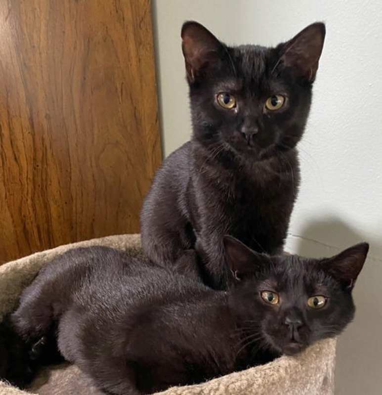 Photo of Agatha and Rio #image