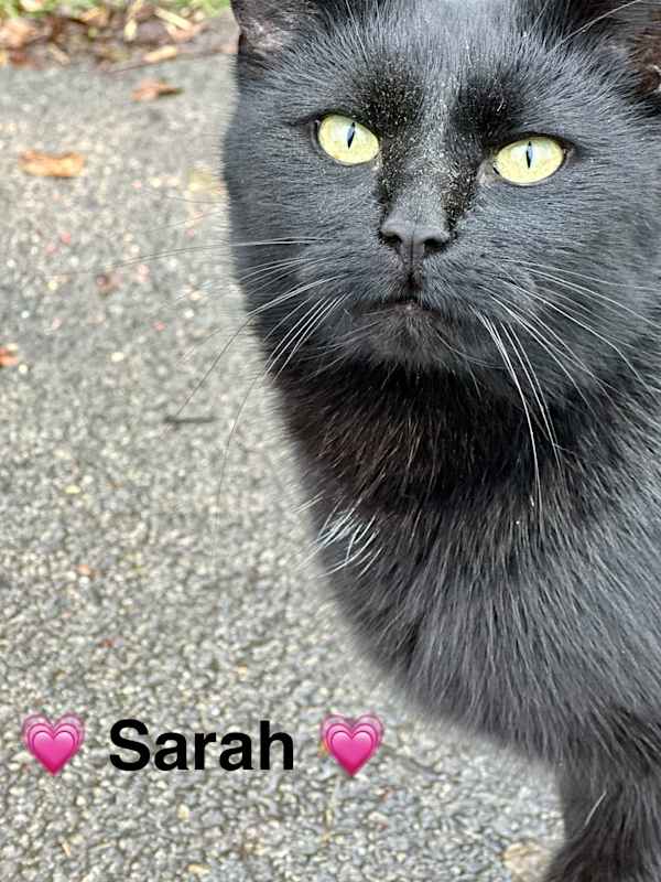 Photo of Sarah #image