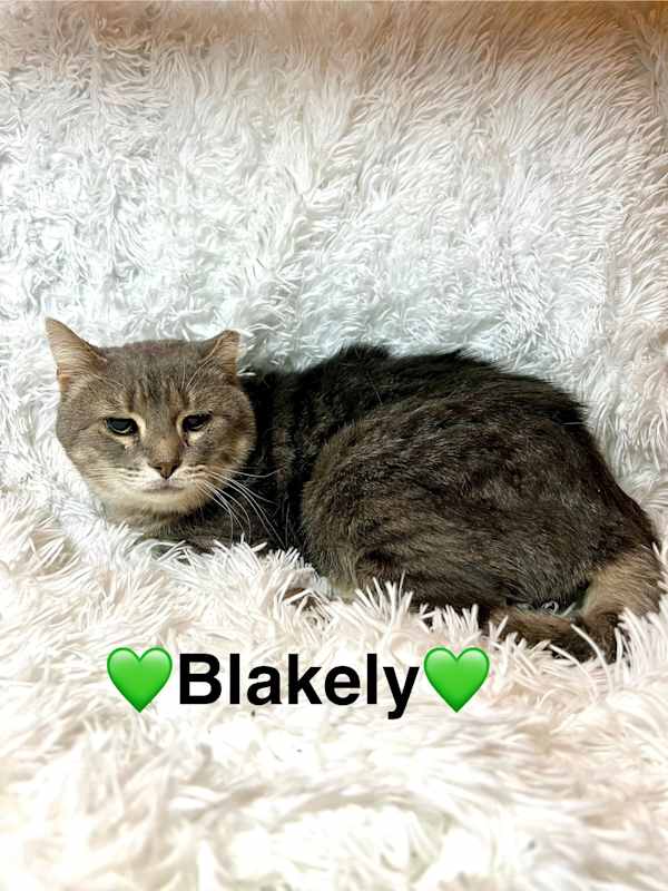 Photo of Blakely #image