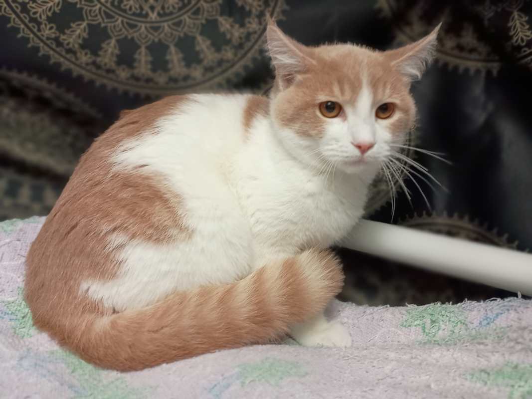 Photo of Jasper #image