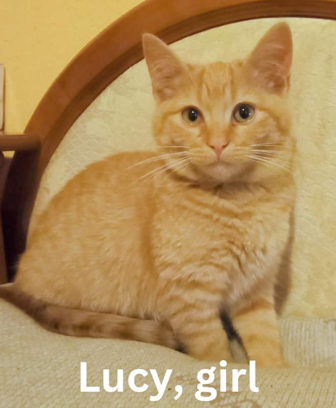 Photo of Lucy #image