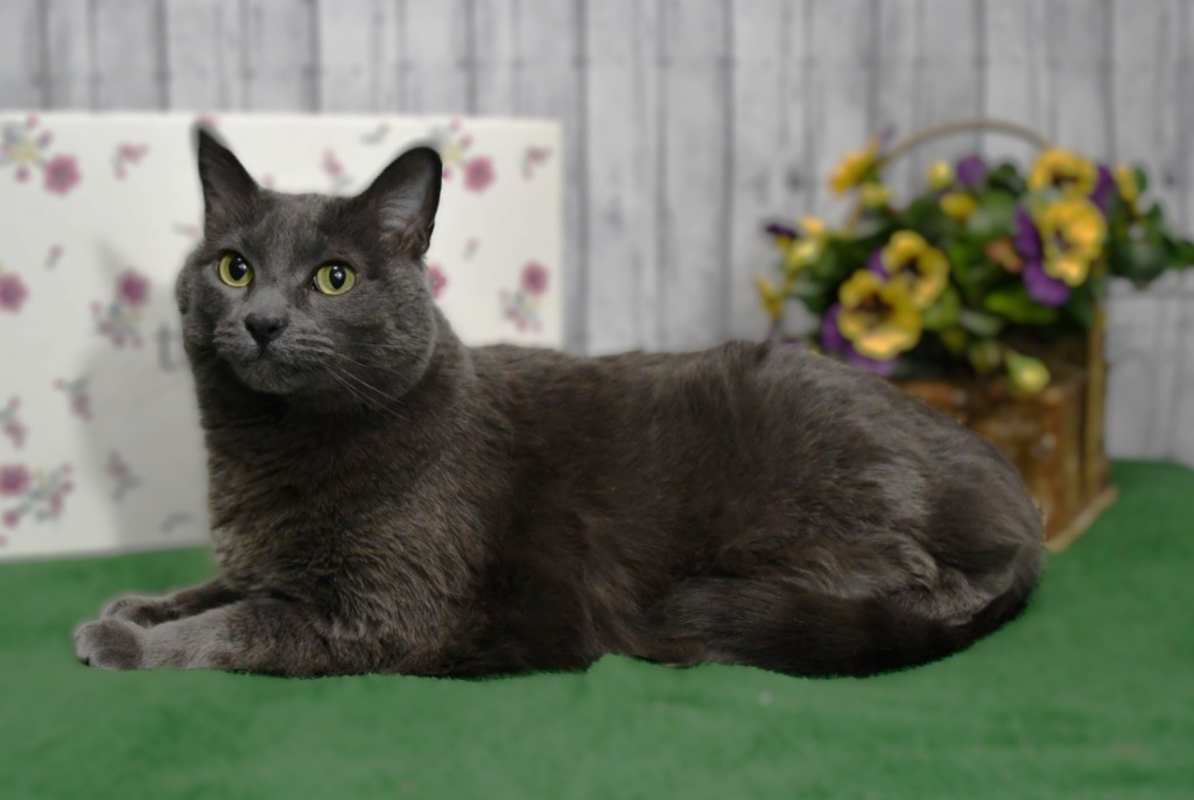 Photo of Esmeralda #image