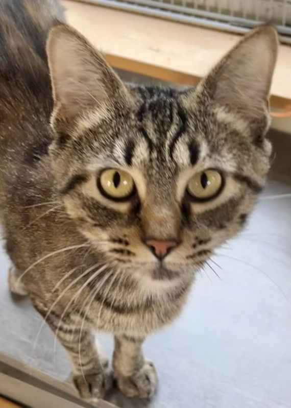 Photo of Lilo #image