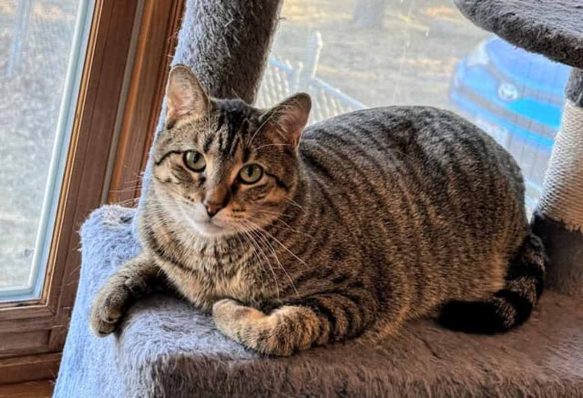 Photo of Pepper #image