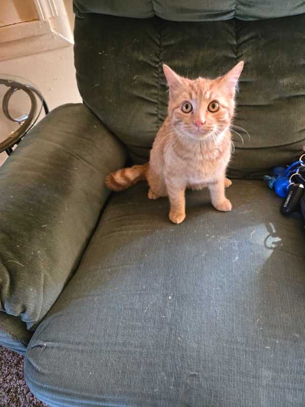 Photo of Clarence #image