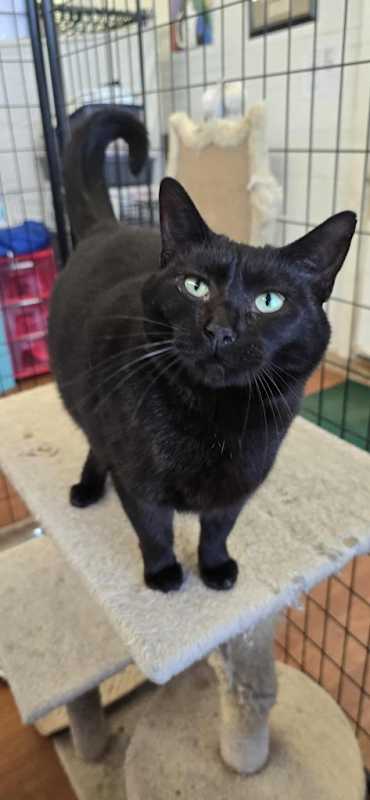 Photo of Neve #image