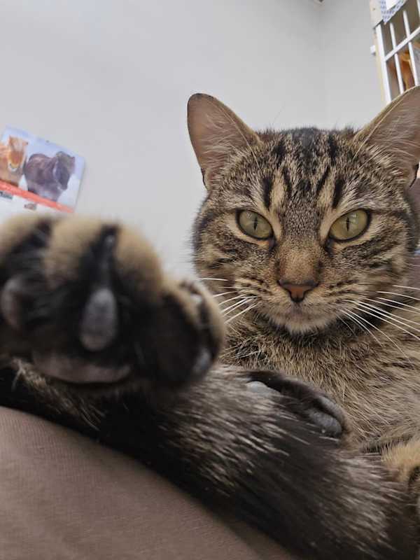 Photo of Cracker-Jackie #image