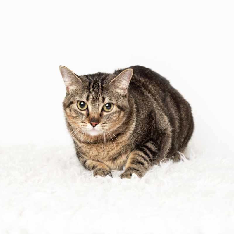 Photo of Marla #image