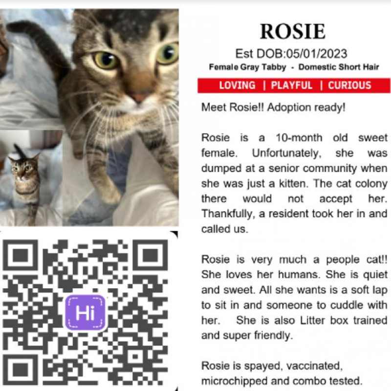 Photo of Rosie #image