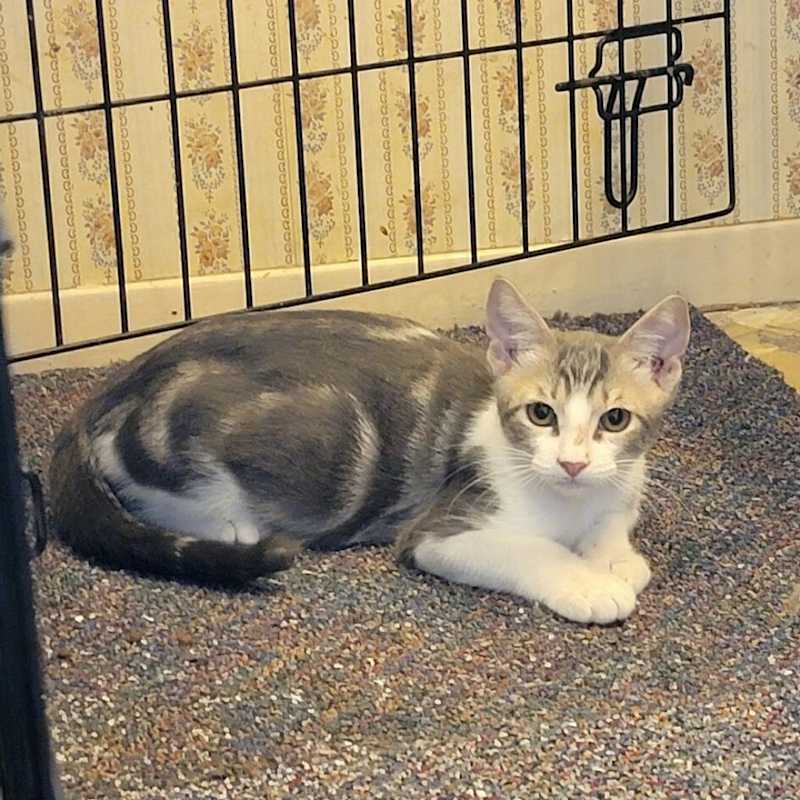 Photo of Marble #image