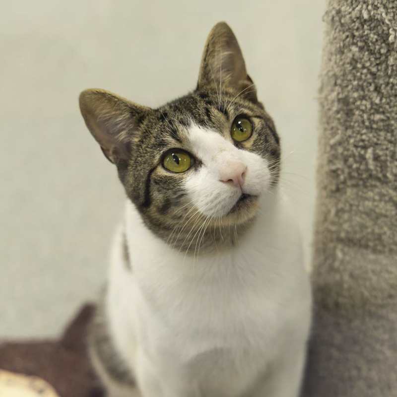 Photo of Rico #image