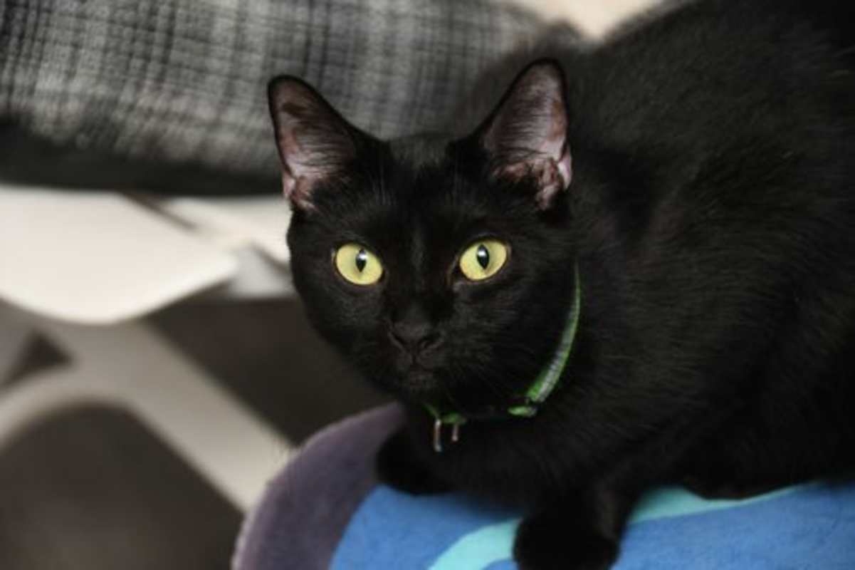 Photo of Lucy #image
