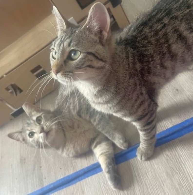 Photo of Thelma and Louise #image