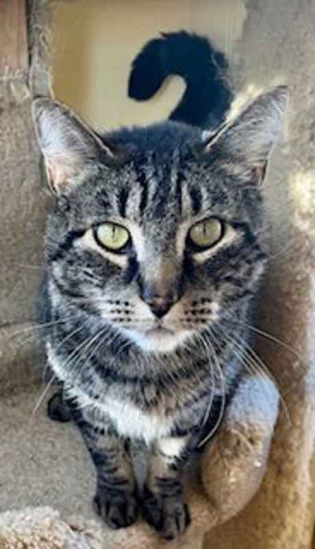 Photo of Tyrone #image