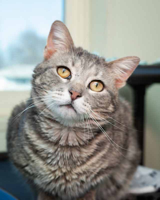 Photo of Benson #image