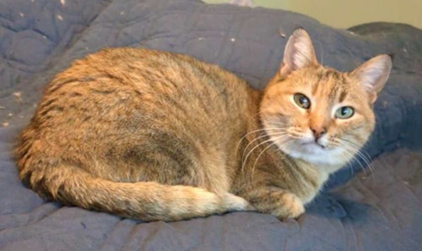 Photo of Lily #image