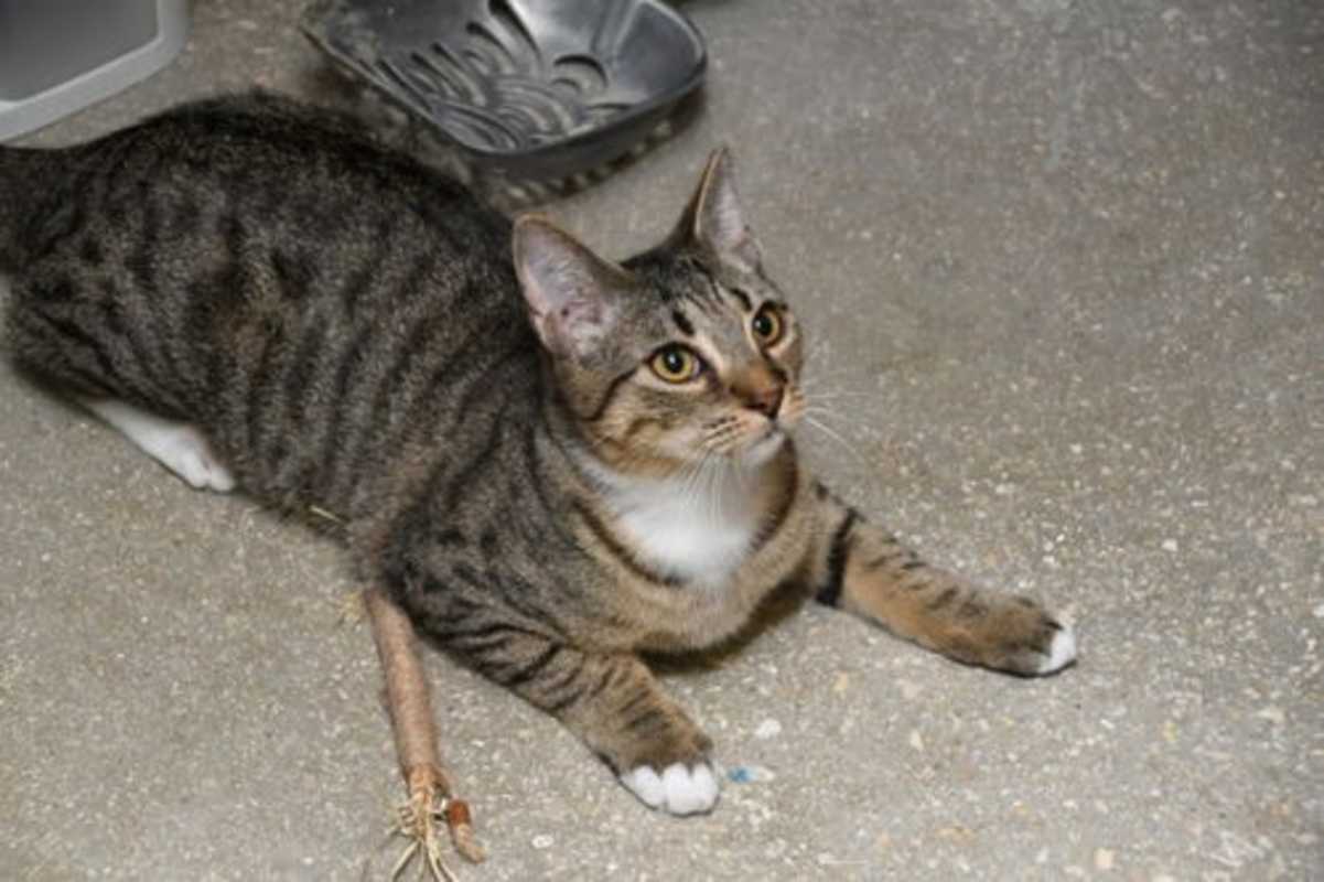 Photo of Harold #image