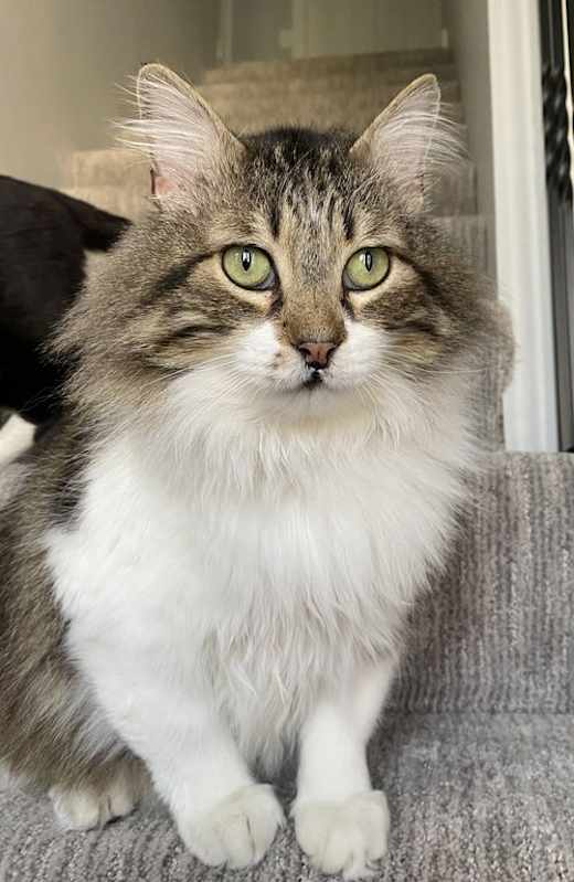 Photo of Taz #image