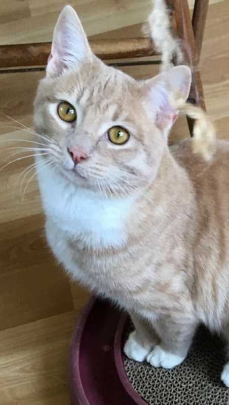 Photo of Rory #image