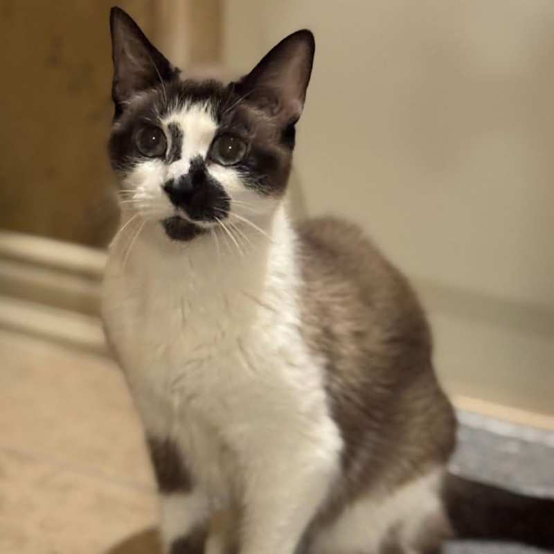 Photo of Hillary Kitt #image