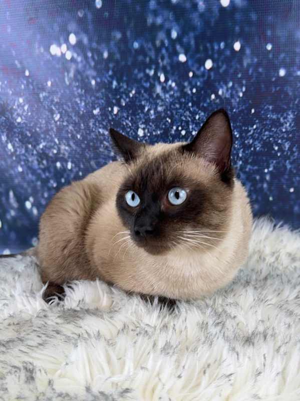 Photo of Gravy(Wish) #image