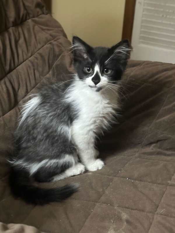 Photo of Tippy #image