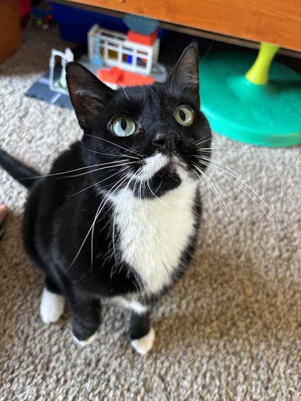 Photo of Willy #image