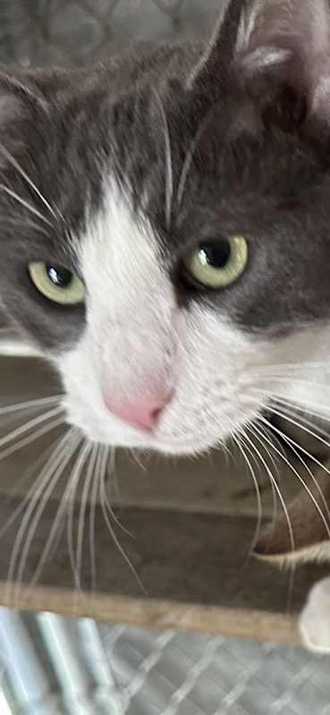 Photo of Timmy #image